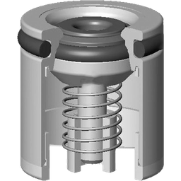 Check Valve