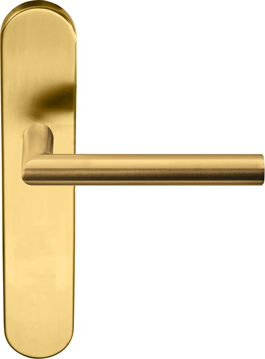 LB2-19P13SFC - sprung lever handle on blank plate PVD satin gold