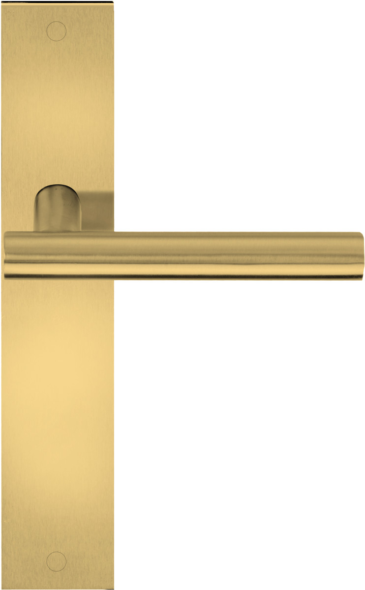 LB7-19P236SFC - unsprung lever handle on blank plate PVD satin gold