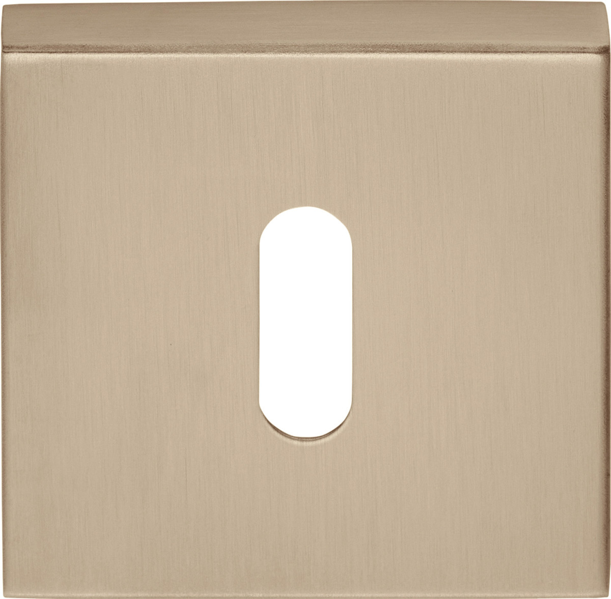 BSQN53 - key escutcheon PVD light bronze