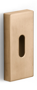 LSQBN32 - key escutcheon PVD light bronze