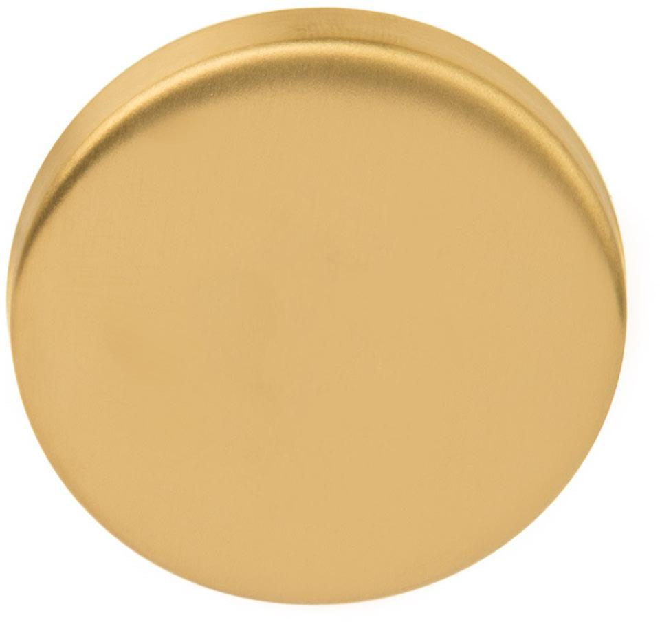 LBB50 - blank escutcheon 6mm PVD satin gold
