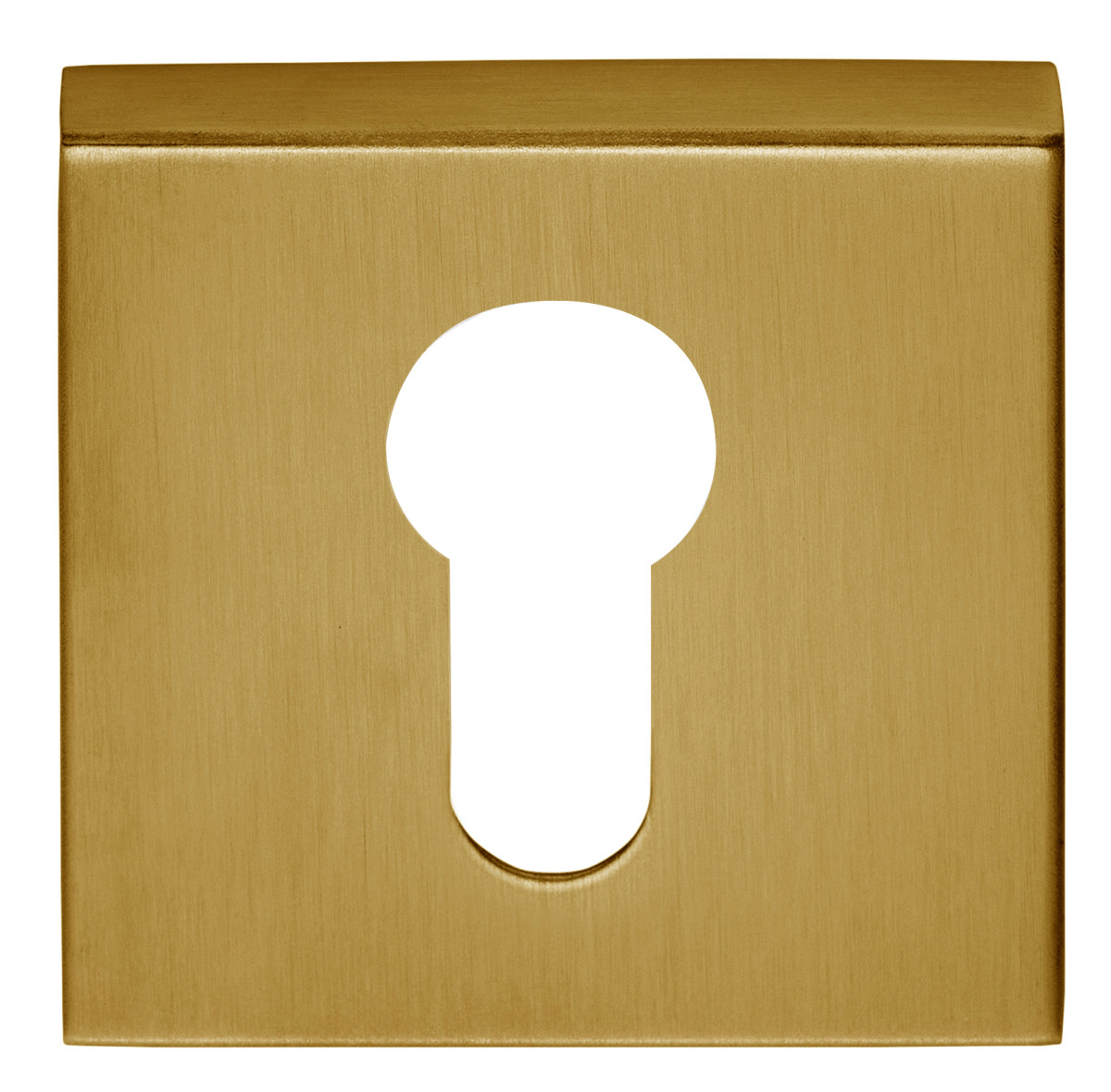 BSQY53 - profile cylinder escutcheon PVD satin gold