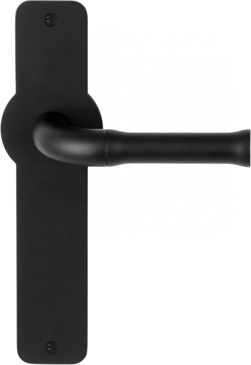 EV100P210SFC - unsprung lever handle on blank plate satin black