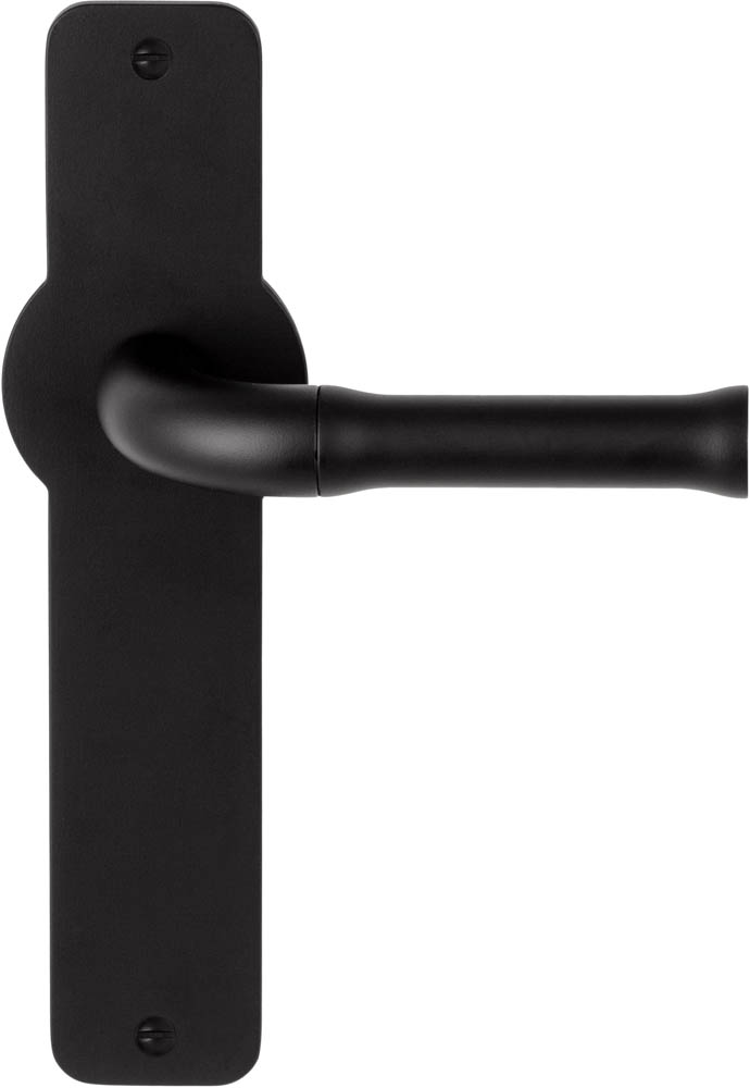 EV100ZLP210SFC - EV100P210SFC unsprung lever handle without logo on blank plate satin black