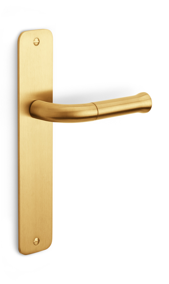 EV101ZLP211SFC - unsprung lever handle without logo on blank plate PVD satin gold